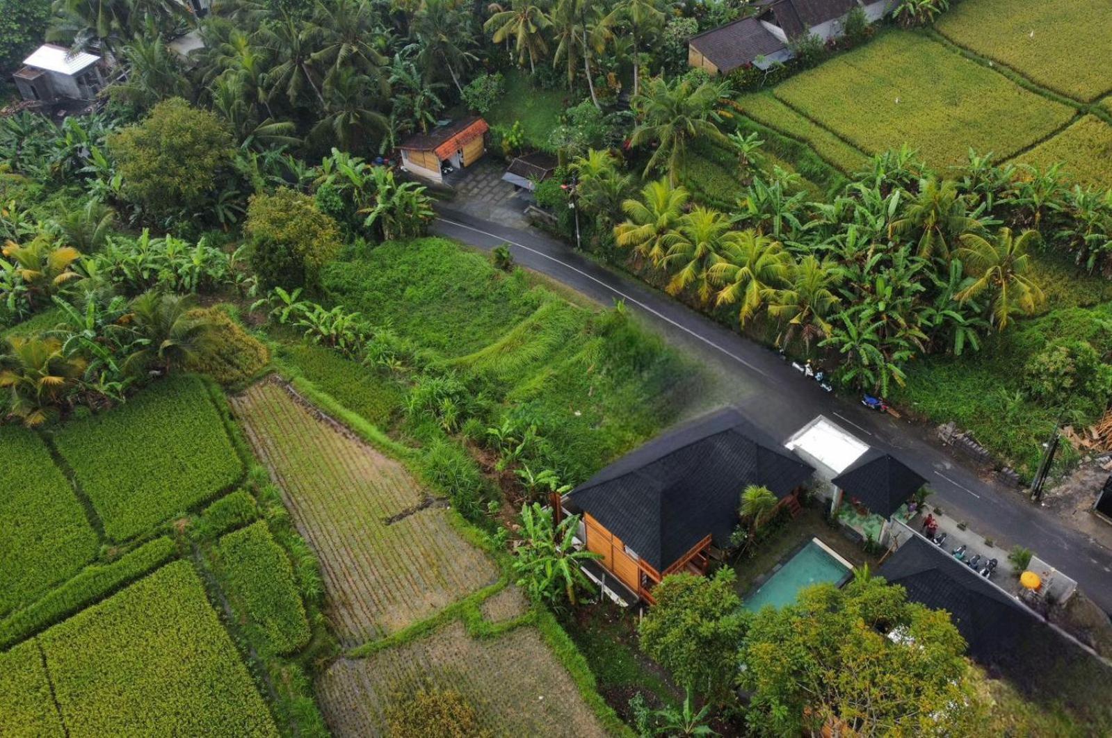 Harmony Wooden Villas Ubud  Exterior photo
